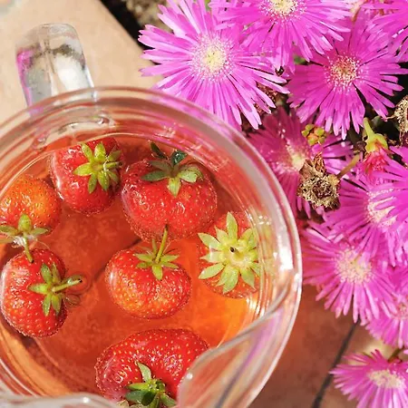 Casa Yvorio Terracina